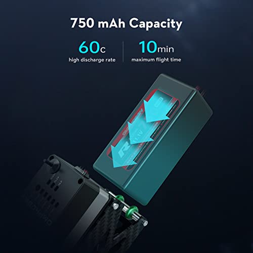 Dual Brushless Motors RC Helicopter for Adults