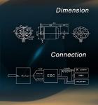 Flash Hobby D2836 Brushless Outrunner Motor (1500KV)