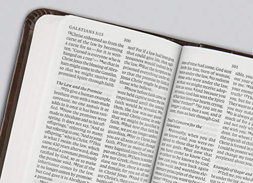 Pocket New Testament with Psalms and Proverbs (Black)