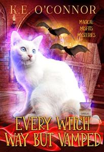 Magical Misfits Book 2: Witch Way
