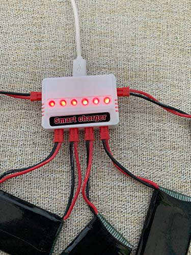 6 Battery Set with Smart Charger for Sky Viper Drones