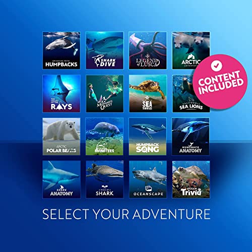 Underwater VR Adventure - Family Friendly