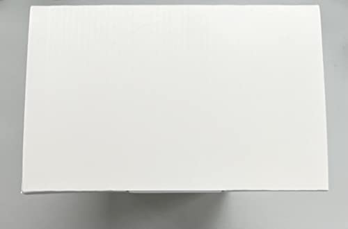 OMPHOBBY M2 EVO Dual Brushless RC Helicopter