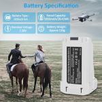 Fantasyo Mini 3 Smart Flight Battery 2-Pack