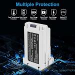 Fantasyo Mini 3 Smart Flight Battery 2-Pack