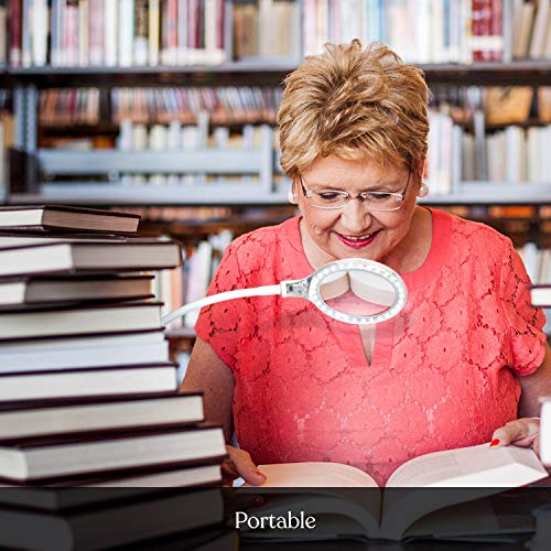 Brightech LightView Pro Flex 2 in 1: 2.25x Magnifier with Bright LED Light - Magnifying Glass Lamp with Base Stand & Clamp - for Reading, Painting, Sewing & Needle Crafts, Puzzle & Hobby Fans