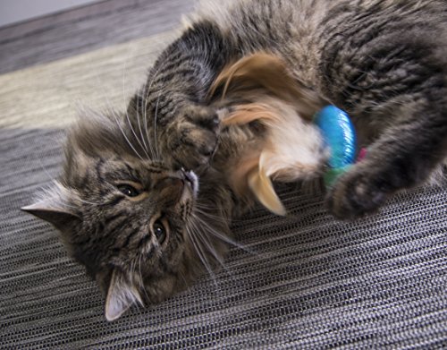 SmartyKat Electronic Sound Cat Toy - Multi Color