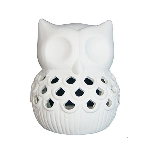 Arts and Crafts - DIY Owl Candle Holder Painting