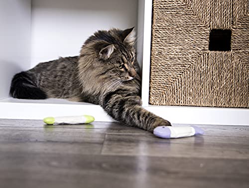 SmartyKat Fish Flop Crinkle Catnip Cat Toys - Multi Color