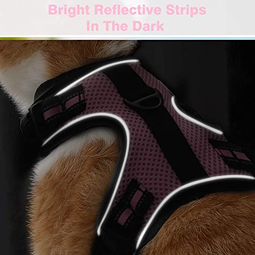 rabbitgoo Cat Harness and Leash for Walking, Escape-Proof No Choke Reflective Vest Harnesses for Small Cats, Kitten Harness with Magic Tapes and Double Clips for Kitty Safety Outdoor Activity, Pink, M