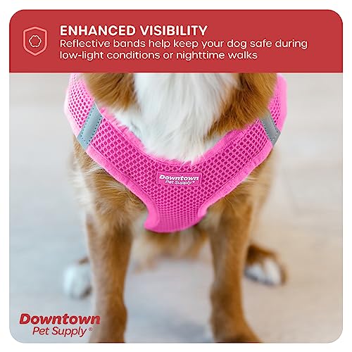 Downtown Adjustable Dog Harness with Padded Vest, Pink, X-Small
