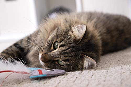 SmartyKat Catnip Cat Toys