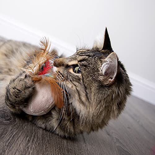 SmartyKat Chit Chatter Electronic Cat Toy - Random Color