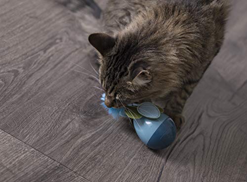 Petlinks Electronic Motion Cat Toys, Dizzy Thing, Blue (49694)