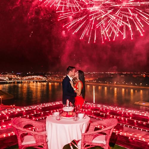 MYGOTO 33FT 100 LEDs String Lights Waterproof Fairy Lights 8 Modes with Memory 30V UL Certified Power Supply for Home, Garden, Wedding, Party, Christmas Decoration Indoor Outdoor (Red)