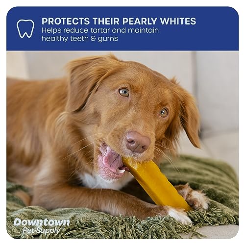Downtown Pet Supply Himalayan Yak Dog Chew, 2 lb