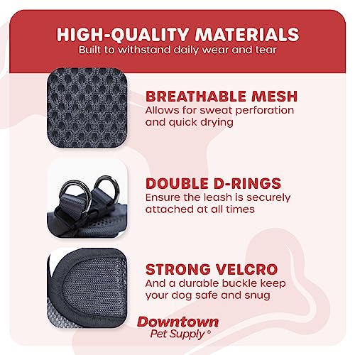 Downtown Pet Supply No Pull, Step in Adjustable Dog Harness with Padded Vest, Easy to Put on Small, Medium and Large Dogs (Charcoal, XS)
