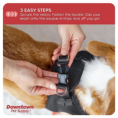 Downtown Pet Supply No Pull, Step in Adjustable Dog Harness with Padded Vest, Easy to Put on Small, Medium and Large Dogs (Charcoal, XS)