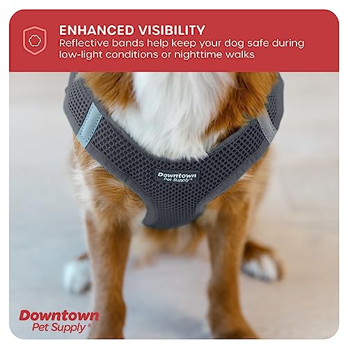 Downtown Pet Supply No Pull, Step in Adjustable Dog Harness with Padded Vest, Easy to Put on Small, Medium and Large Dogs (Charcoal, XS)