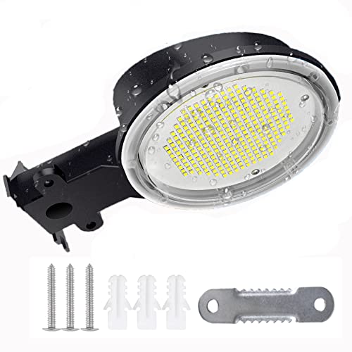 80W Chico Barn Light - Yard, Barn - Daylight White (5000K)
