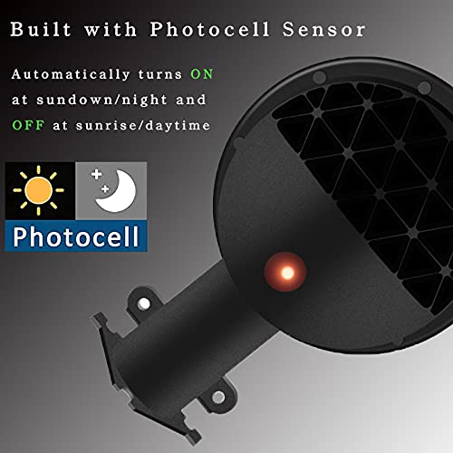 80W Chico Barn Light - Yard, Barn - Daylight White (5000K)