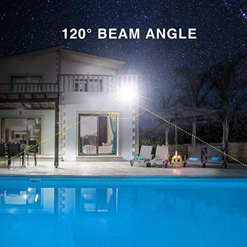 80W Chico Barn Light - Yard, Barn - Daylight White (5000K)