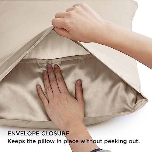 Bedsure Satin Pillowcase for Hair and Skin Queen - Taupe Silk Pillowcase 2 Pack 20x30 inches - Satin Pillow Cases Set of 2 with Envelope Closure