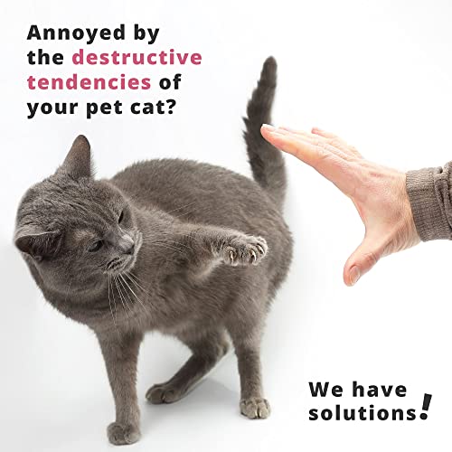 Cat Nail Clippers with Razor Sharp Blades - Best Pet Nail Clippers for Small Animals - Professional Claw Trimmer for Tiny Dog Cat Kitten Bunny Rabbit Bird Guinea Pigs Ferret Hamsters - Ebook Guide