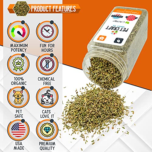 Pet Craft Supply Premium Maximum Potent All Natural Catnip for Cats USA Grown & Harvested Large 3Oz Resealable Canister Great for Training Redirecting Bad Behaviors