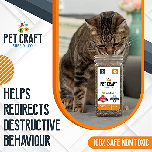 Pet Craft Supply Premium Maximum Potent All Natural Catnip for Cats USA Grown & Harvested Large 3Oz Resealable Canister Great for Training Redirecting Bad Behaviors