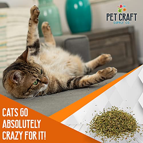 Pet Craft Supply Premium Maximum Potent All Natural Catnip for Cats USA Grown & Harvested Large 3Oz Resealable Canister Great for Training Redirecting Bad Behaviors