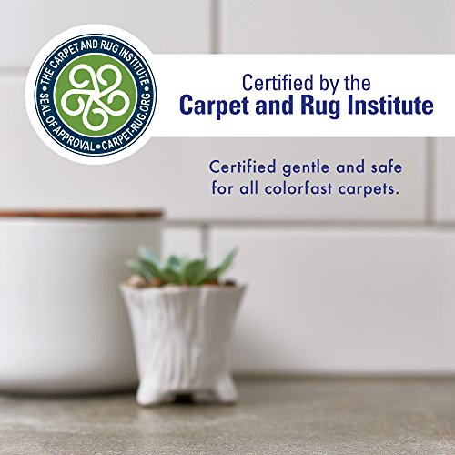 Rocco & Roxie Supply Professional Strength Stain and Odor Eliminator, Enzyme-Powered Pet Odor and Stain Remover for Dogs and Cat Urine, Spot Carpet Cleaner for Small Animal, 32 oz.