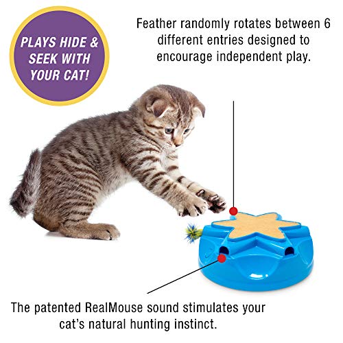 OurPets Catty Whack Interactive Cat Toy (Cat Toys for Stimulating Play, Real Mouse Sound, Rotating Feather for Hunting Instincts & Carpeted Scratching Area) [Cat Toys for Indoor Cat Gifts]