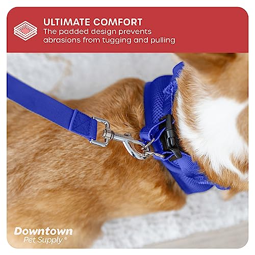 Downtown Pet Supply No Pull, Step in Adjustable Dog Harness with Padded Vest, Easy to Put on Small, Medium and Large Dogs (Blue, S)