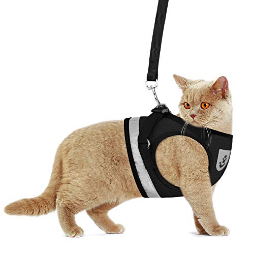 GAUTERF Kitten and Puppy Universal Harness with Leash Set, Escape Proof Cat Harnesses-Adjustable Reflective Soft Mesh Corduroy Small Dog Harnesses-Best Pet Supplies