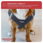 Downtown Pet Supply No Pull, Step in Adjustable Dog Harness with Padded Vest, Easy to Put on Small, Medium and Large Dogs (Charcoal, L)