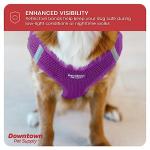 Downtown Pet Supply No Pull, Step in Adjustable Dog Harness with Padded Vest, Easy to Put on Small, Medium and Large Dogs (Purple, S)