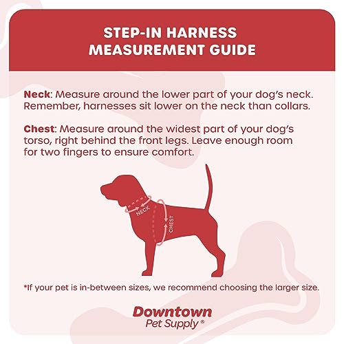 Downtown Pet Supply No Pull, Step in Adjustable Dog Harness with Padded Vest, Easy to Put on Small, Medium and Large Dogs (Blue, XS)