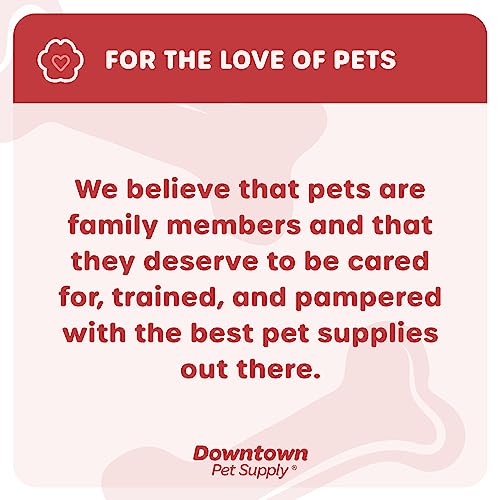 Downtown Pet Supply No Pull, Step in Adjustable Dog Harness with Padded Vest, Easy to Put on Small, Medium and Large Dogs (Blue, XS)