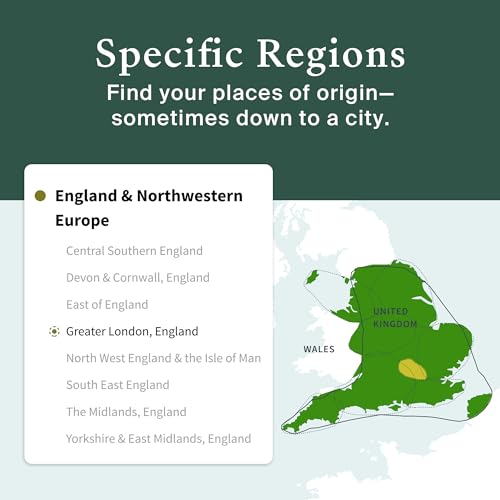 AncestryDNA: Genetic Ethnicity Test, Ethnicity Estimate, AncestryDNA Test Kit, Health and Personal Care
