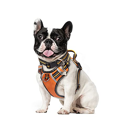 WINSEE Dog Harness No Pull, Pet Harnesses with Dog Collar, Adjustable Reflective Oxford Outdoor Vest, Front/Back Leash Clips for Small, Medium, Large, Extra Large Dogs, Easy Control Handle for Walking
