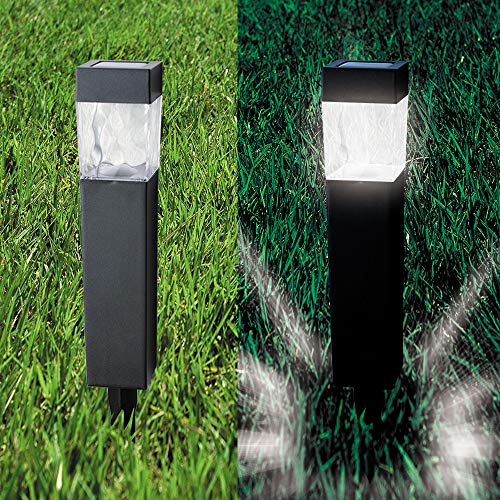 12-Pack Solar Pathway Lights for Lawn, Patio, Yard