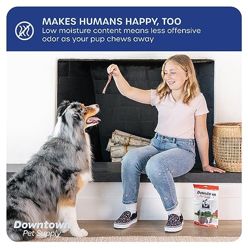 Downtown Pet Supply 6-inch Bully Sticks for Dogs, Pack of 30 - Single Ingredient, Nutrient-Rich and Odor Free Bully Sticks for Dogs - Rawhide Free Dog Chews Long Lasting and Non-Splintering