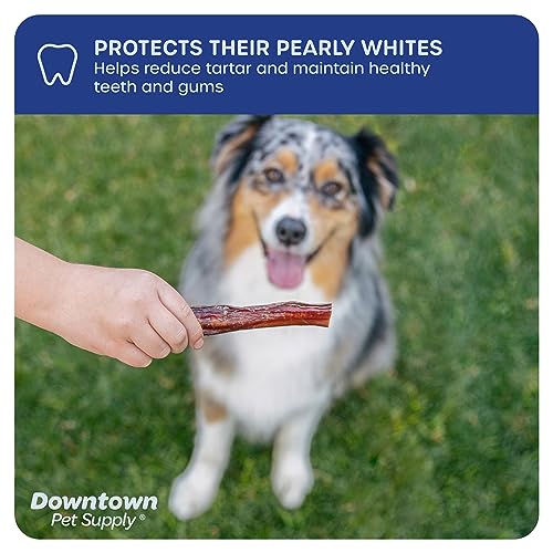 Downtown Pet Supply 6-inch Bully Sticks for Dogs, Pack of 18 - Single Ingredient, Nutrient-Rich and Odor Free Bully Sticks for Dogs - Rawhide Free Dog Chews Long Lasting and Non-Splintering