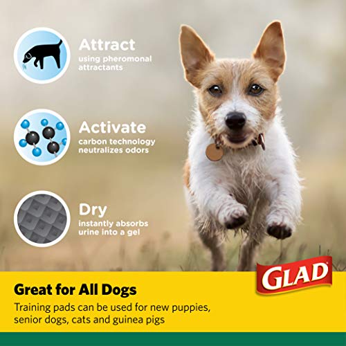 Glad for Pets Activated Carbon Puppy Training Pads, Giant Size, 24 Count - 2 Pack | Charcoal Puppy Pads for Dogs, Large Dog Pee Pads | Super Absorbent and Leak Proof