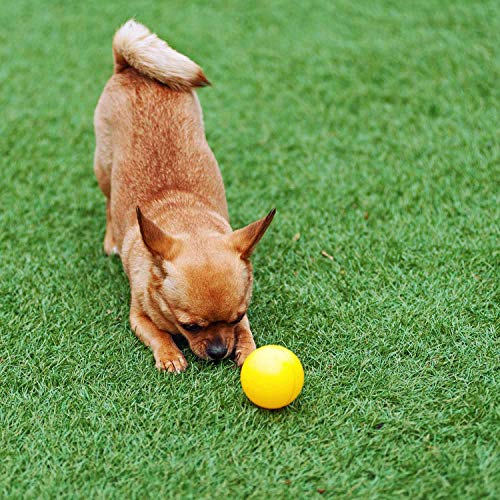 BEAUTYFLOWER Artificial Grass Rug, 4 Tone Realistic Indoor Outdoor Garden Lawn Landscape Patio Synthetic Turf Mat Synthetic Turf Mat for Dogs Cats Pets (5 ft x 6.56 ft = 32.8 sq ft)