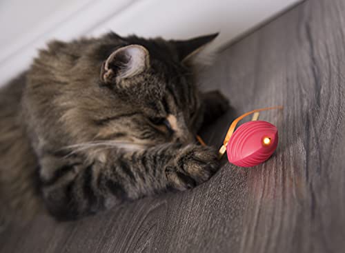 SmartyKat, Crazy Cruiser, Electronic Motion Cat Toy, Interactive Rumble Bug, Vibrates, Lights Up, Batteries Included