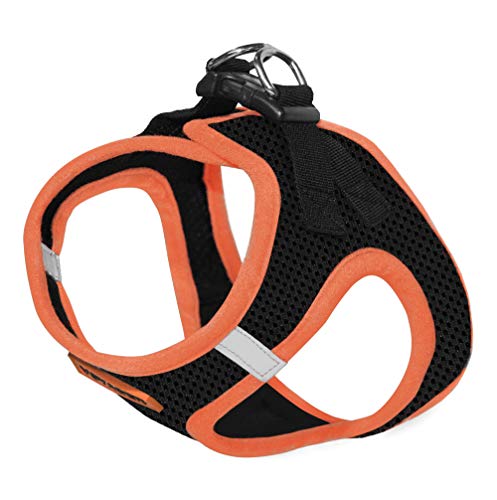 Voyager Step-In Air Dog Harness - All Weather Mesh Step in Vest Harness for Small and Medium Dogs by Best Pet Supplies - Orange, Medium