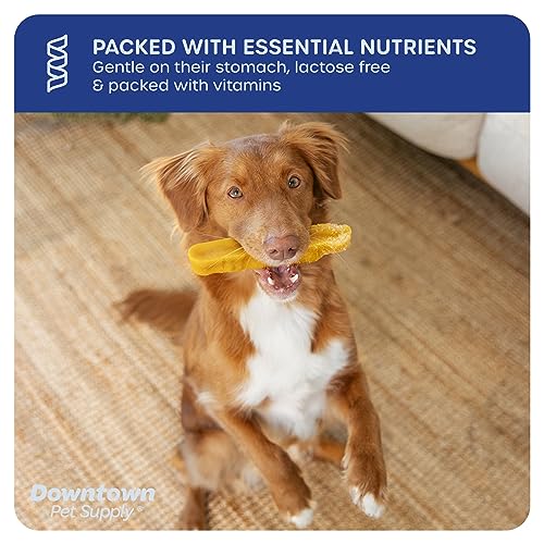 Downtown Pet Supply Himalayan Yak Dog Chew, 1 lb
