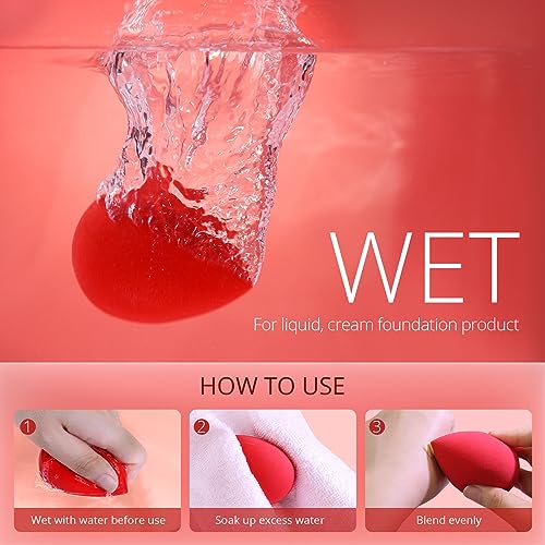 BEAKEY 5 Pcs Makeup Sponge Set Blender Beauty Foundation Blending Sponge, Flawless for Liquid, Cream, and Powder, Multi-colored Makeup Sponges
